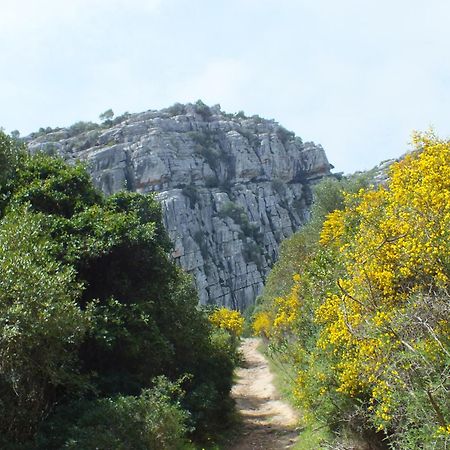 Affittacamere Karma House Casares Esterno foto