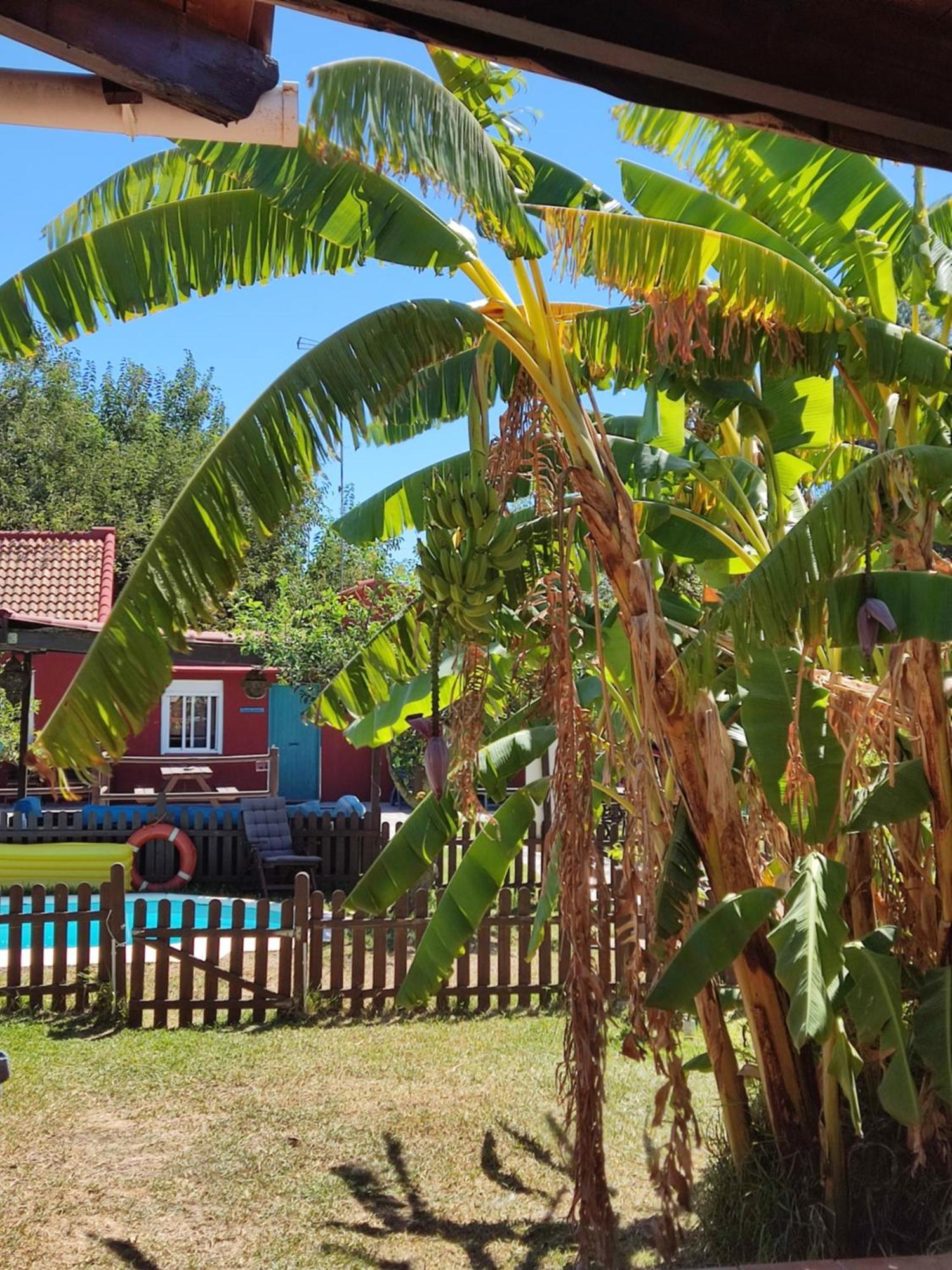 Affittacamere Karma House Casares Esterno foto